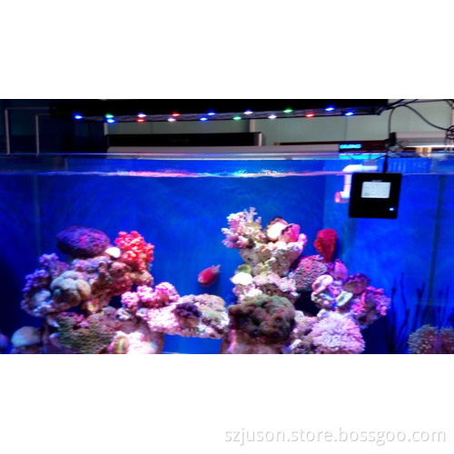 AQL Brand Coral Reef Used 120W Aquarium LED Lignting Programmable And Dimmable
